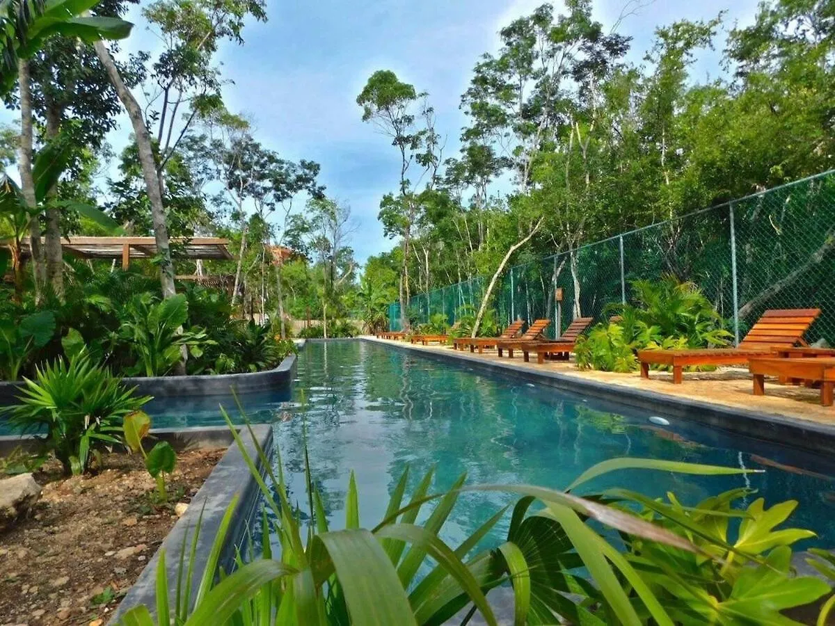 Amplio Depto. C/Terraza Privada + Hermosa Piscina Τουλούμ