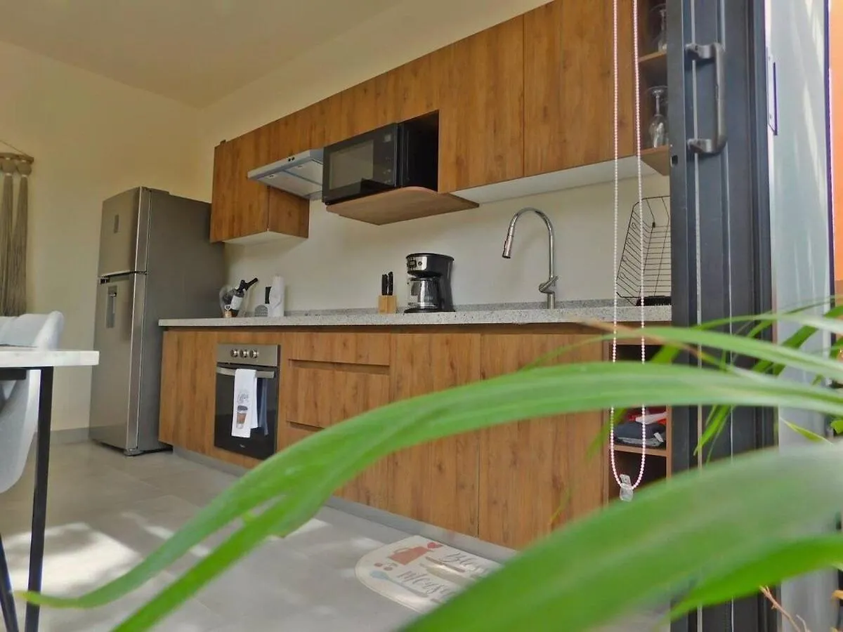 Amplio Depto. C/Terraza Privada + Hermosa Piscina Τουλούμ Διαμέρισμα