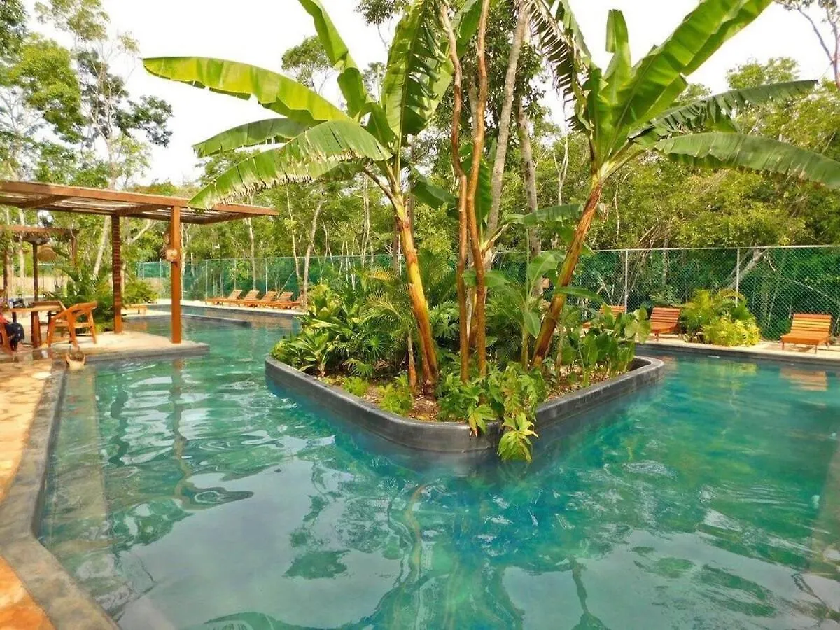 Amplio Depto. C/Terraza Privada + Hermosa Piscina Τουλούμ Διαμέρισμα
