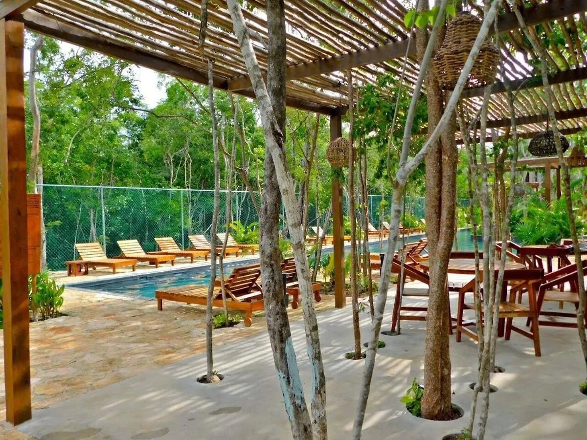 Amplio Depto. C/Terraza Privada + Hermosa Piscina Tulum